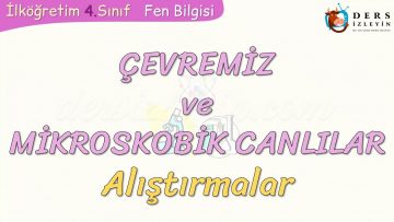 ÇEVREMİZ VE MİKROSKOBİK CANLILAR-ALIŞTIRMALAR