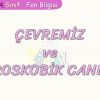 ÇEVREMİZ VE MİKROSKOBİK CANLILAR