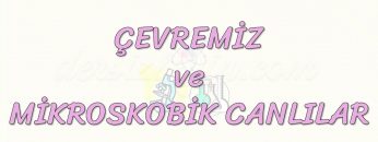 ÇEVREMİZ VE MİKROSKOBİK CANLILAR