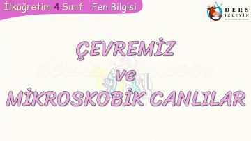 ÇEVREMİZ VE MİKROSKOBİK CANLILAR