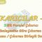 ÇIKARICILAR – 2 / 3 BİT PARALEL ÇIKARICI – 2NİN TÜMLEYENİNE GÖRE ÇIKARMA DEVRESİ
