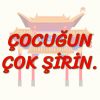 ÇOCUĞUN ÇOK ŞİRİN (ÇİNCE) 49.DERS