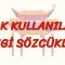 ÇOK KULLANILAN SEVGİ SÖZCÜKLERİ (ÇİNCE) 97. DERS