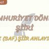 CUMHURİYET DÖNEMİ ŞİİRİ / ÖZ (SAF) ŞİİR ANLAYIŞI