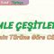 CÜMLE ÇEŞİTLERİ – 1 / YÜKLEMİN TÜRÜNE GÖRE CÜMLELER