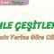 CÜMLE ÇEŞİTLERİ – 2 / YÜKLEMİN YERİNE GÖRE CÜMLELER