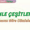 CÜMLE ÇEŞİTLERİ – 3 / ANLAMINA GÖRE CÜMLELER – 1