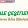 CÜMLE ÇEŞİTLERİ – 4 / ANLAMINA GÖRE CÜMLELER – 2
