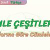CÜMLE ÇEŞİTLERİ – 5 / YAPILARINA GÖRE CÜMLELER- 1