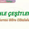 CÜMLE ÇEŞİTLERİ- 6 / YAPILARINA GÖRE CÜMLELER – 2