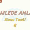 CÜMLEDE ANLAM / KONU TESTİ – 8