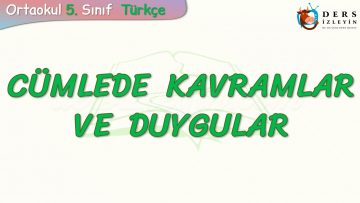 CÜMLEDE KAVRAMLAR VE DUYGULAR