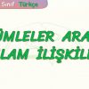 CÜMLELER ARASI ANLAM İLİŞKİSİ