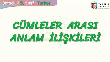 CÜMLELER ARASI ANLAM İLİŞKİSİ