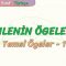 CÜMLENİN ÖGELERİ – 1 / TEMEL ÖGELER – 1