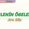 CÜMLENİN ÖGELERİ – 5 / ARA SÖZ