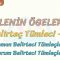 CÜMLENİN ÖGELERİ – 6 / BELİRTEÇ TÜMLECİ – 1