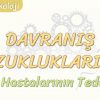 DAVRANIŞ BOZUKLUKLARI – 4 / RUH HASTALARININ TEDAVİSİ