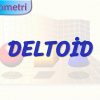 DELTOİD