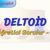 DELTOİD / ÖĞRETİCİ SORULAR – 1