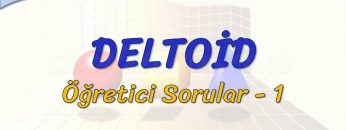 DELTOİD / ÖĞRETİCİ SORULAR – 1