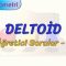 DELTOİD / ÖĞRETİCİ SORULAR – 1