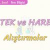 DESTEK VE HAREKET-ALIŞTIRMALAR