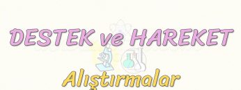 DESTEK VE HAREKET-ALIŞTIRMALAR