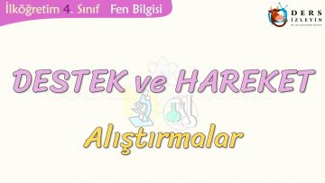 DESTEK VE HAREKET-ALIŞTIRMALAR