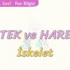 DESTEK VE HAREKET-İSKELET