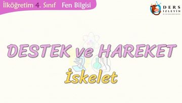 DESTEK VE HAREKET-İSKELET