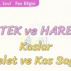 DESTEK VE HAREKET-İSKELET VE KAS SAĞLIĞI