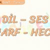 DİL – SES & HARF – HECE