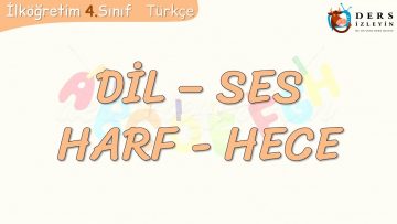DİL – SES & HARF – HECE