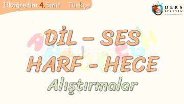 DİL – SES & HARF – HECE / ALIŞTIRMALAR
