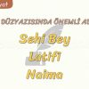 DİVAN DÜZYAZISINDA ÖNEMLİ ADLAR – 2