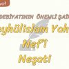 DİVAN EDEBİYATININ ÖNEMLİ ŞAİRLERİ – 10