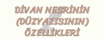 DİVAN NESRİNİN ÖZELLİKLERİ