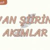 DİVAN ŞİİRİNDE AKIMLAR