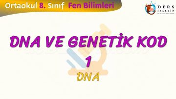 DNA VE GENETİK KOD – 1 / DNA