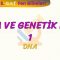 DNA VE GENETİK KOD – 1 / DNA