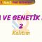 DNA VE GENETİK KOD – 2 / KALITIM