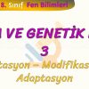 DNA VE GENETİK KOD – 3 / MUTASYON, MODİFİKASYON VE ADAPTASYON