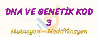 DNA VE GENETİK KOD – 3 / MUTASYON, MODİFİKASYON VE ADAPTASYON