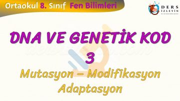 DNA VE GENETİK KOD – 3 / MUTASYON, MODİFİKASYON VE ADAPTASYON