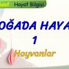 DOĞADA HAYAT – 1 / HAYVANLAR