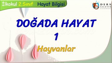 DOĞADA HAYAT – 1 / HAYVANLAR
