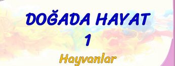 DOĞADA HAYAT – 1 / HAYVANLAR