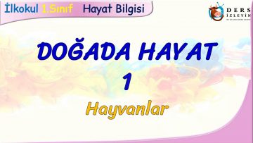 DOĞADA HAYAT – 1 / HAYVANLAR