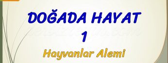 DOĞADA HAYAT – 1 / HAYVANLAR ALEMİ